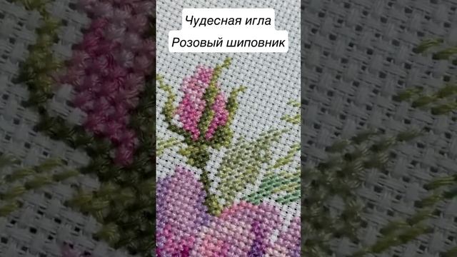 Долгожданный финиш «Розовый шиповник» от Чудесной иглы. #рукодельныенедели #вышивкакрестиком смотреть онлайн
