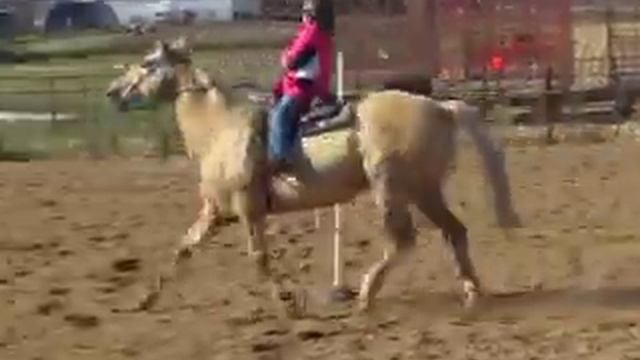 Skipper Lexi смотреть онлайн