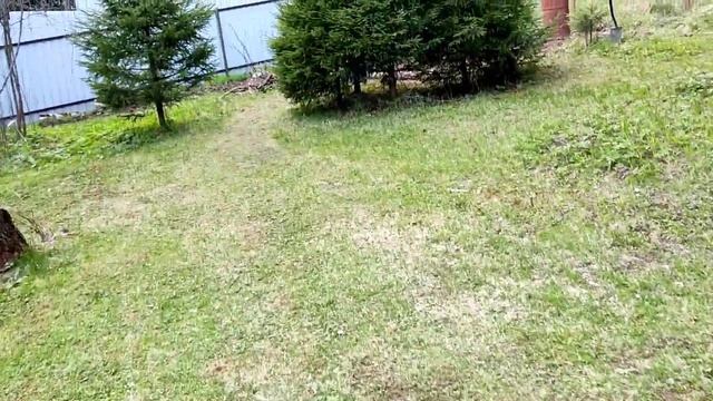 Газон до и после скарификатора. смотреть онлайн