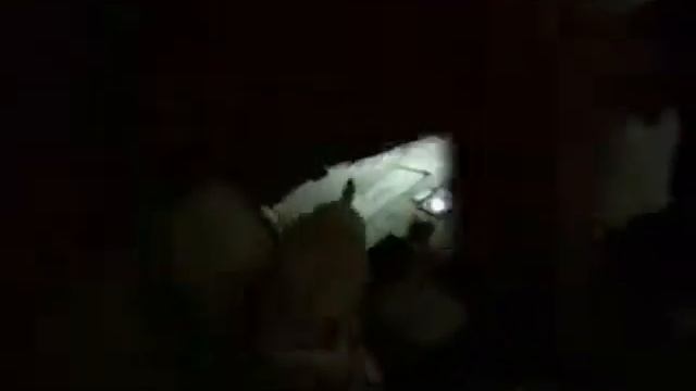 A dog's eye view... Jack cam. 1 смотреть онлайн
