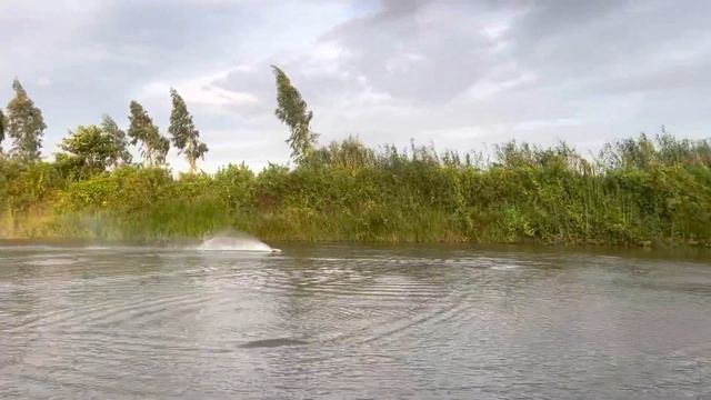 rc boat cóc 45cm 66 dongthap vietnam смотреть онлайн