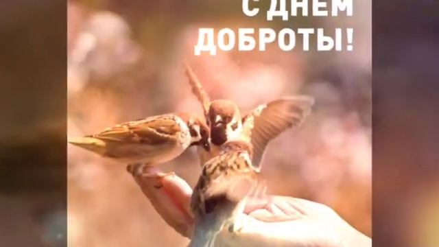 Всемирный День Доброты!!! смотреть онлайн