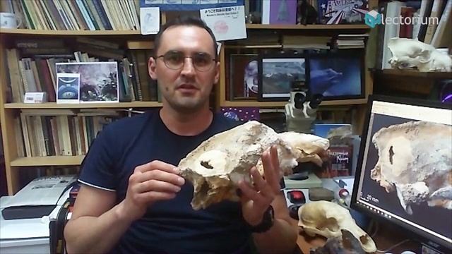 Древние медведи пещеры Иманай смотреть онлайн