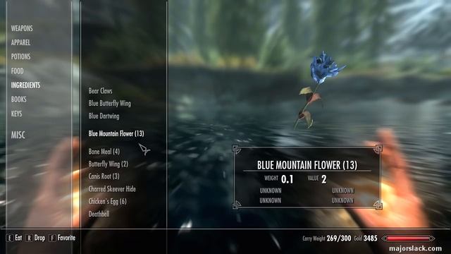 Skyrim Pure Mage Walkthrough NO WEAPONS NO ARMOR #5 - How to Fish for Salmon Roe EARLY GAME! смотреть онлайн