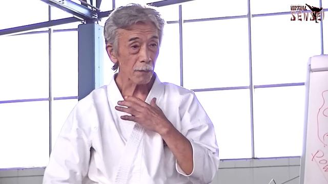 Soke Inoue Yoshimi - The 3 principles of power in Karate - Seminar Italy 2013 смотреть онлайн