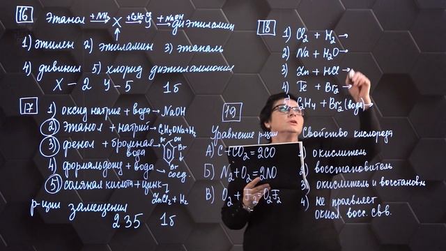 Химия - ЕГЭ. 1 вариант: № 16-19.
