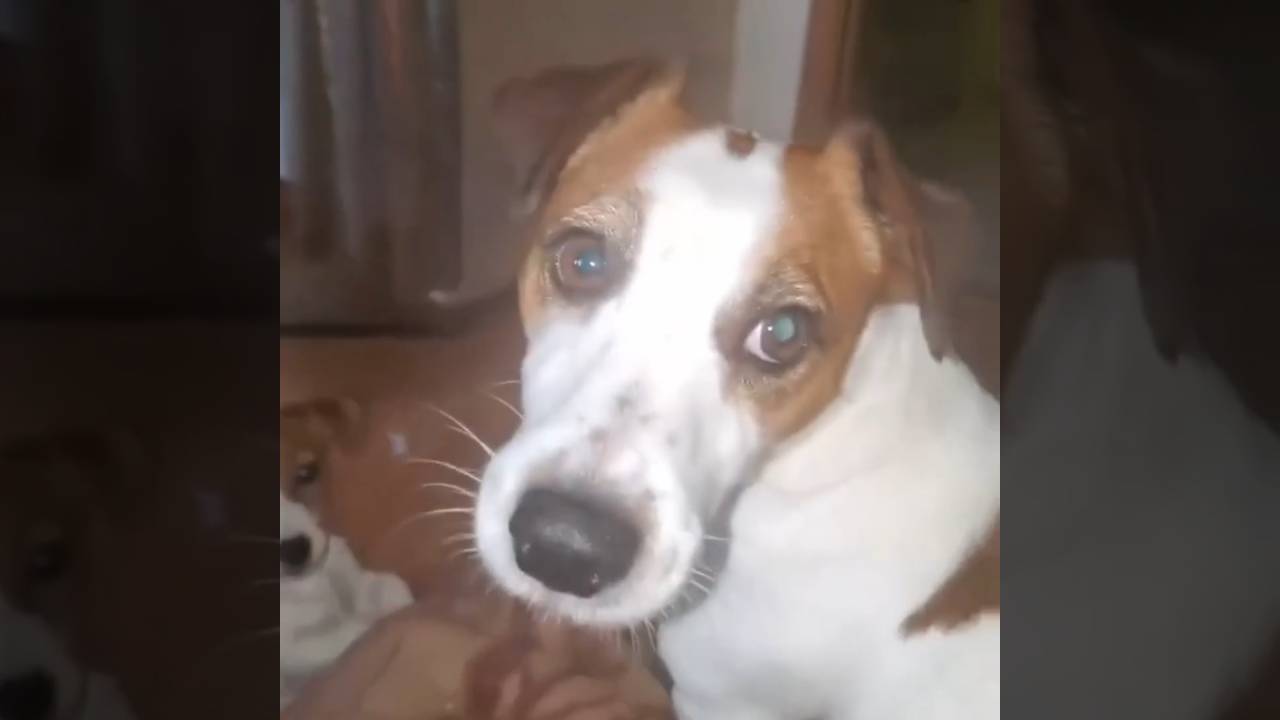 Наделал детей, теперь иди развлекай смотреть онлайн