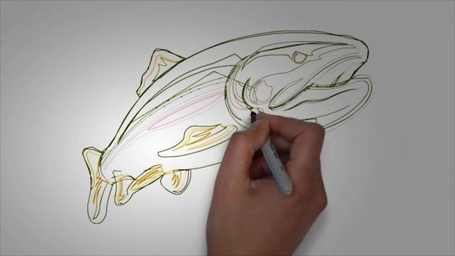 Рисунки карандашом поэтапно. Рисуем речных рыб смотреть онлайн