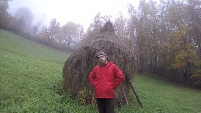 Национальный парк Тара, Сербия. смотреть онлайн