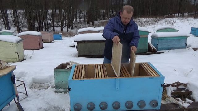 Размножение пчёл. Из 1 пчелосемьи 4 в одном Владимирском улье лежаке. Легко без тяжестей. смотреть онлайн