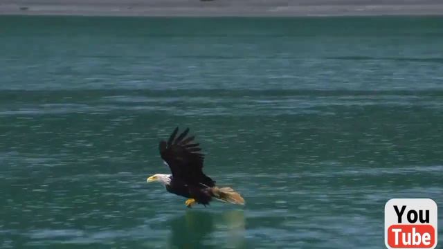 Alaska