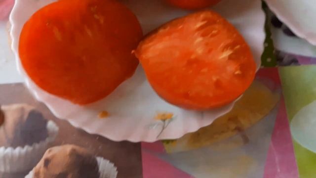 Удивительный томат Черная магия от Сибирского сада. смотреть онлайн