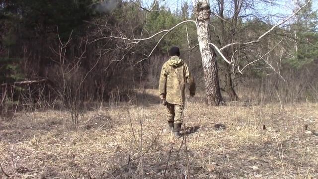 Как и из какого дерева качать сок смотреть онлайн