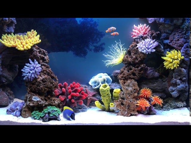 Морское оформление "Рыбное море" смотреть онлайн