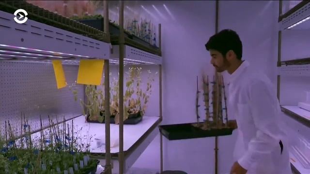 Пробка для винных бутылок как средство борьбы с потеплением смотреть онлайн