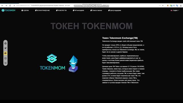 Обзор проекта Tokenmom смотреть онлайн