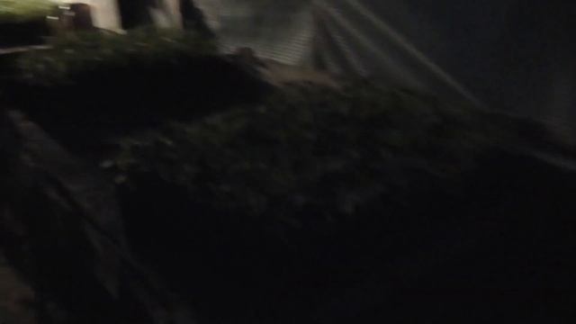 Вечер в рассадном парнике смотреть онлайн