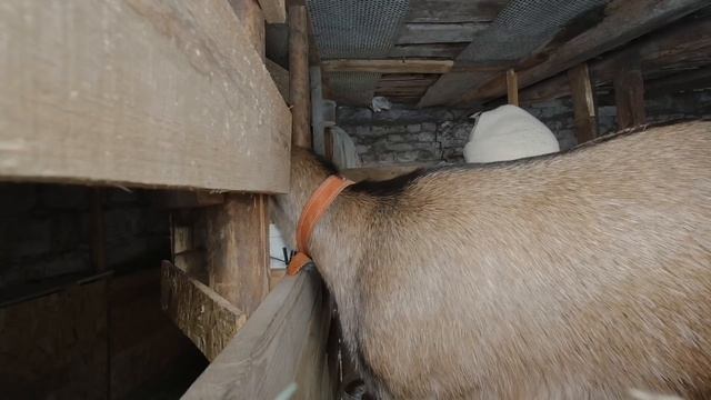 КАК ЖИВУТ В ОРЛОВСКОЙ ГЛУБИНКЕ смотреть онлайн