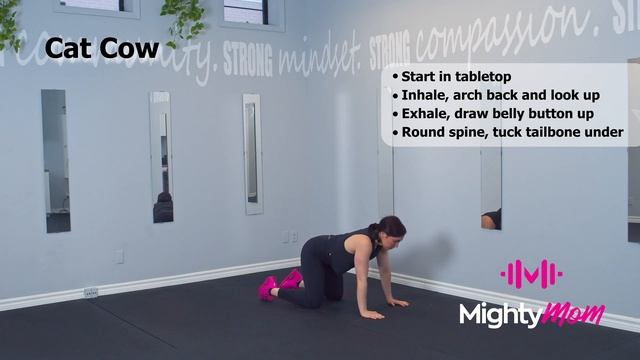 CAT COW смотреть онлайн