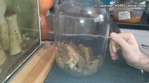 Как я делаю вторую заливку домашнего кваса, не меняя сухарей из первой.