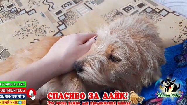 Завтра Ася едет в новый 🏡 смотреть онлайн