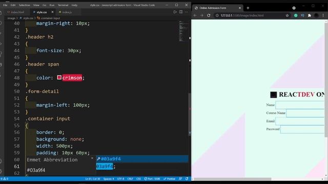 Javascript Registration Form | Javascript & Css. смотреть онлайн