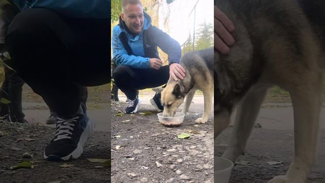 Быть добру Друзья ♥️🙏 мой тг канал ссылка в закрепленном комментарии 🙏♥️ дружим 🤝♥️ смотреть онлайн