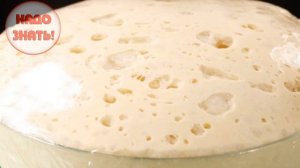 Почему не поднимается дрожжевое тесто?