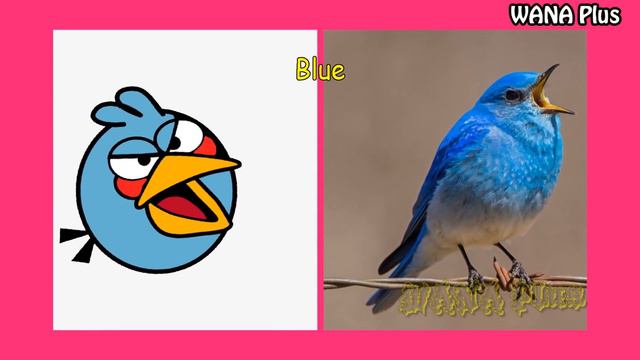 Angry Birds 2 and 1 IN REAL LIFE 💥 All Characters 👉@WANAPlus смотреть онлайн