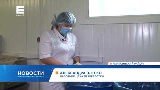 В Минусинске солят капусту по бабушкиным рецептам в промышленных масштабах