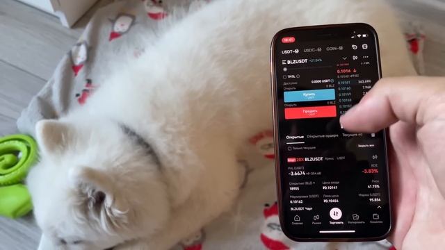 Сколько ЗАРАБОТАЕТ СОБАКА на ТРЕЙДИНГЕ за 10 минут?! Торговля Криптовалют на бирже Bitget смотреть онлайн