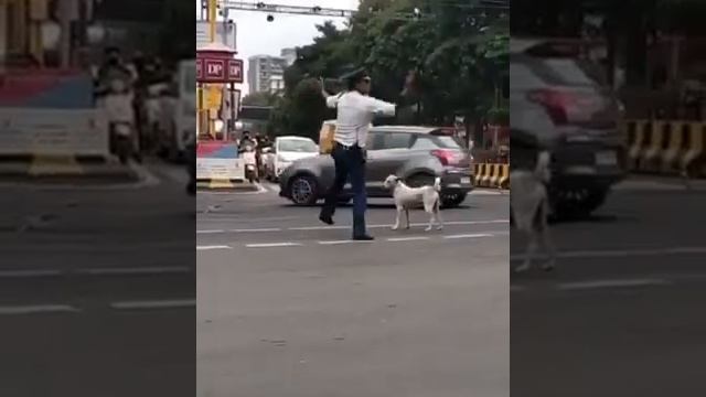 Stylish traffic police ?? смотреть онлайн