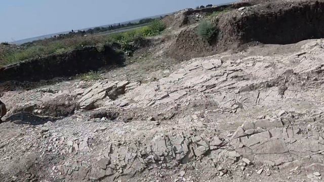 Древнее захоронение и ублюдки-выродки смотреть онлайн