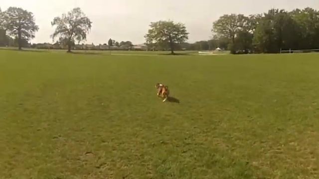 Hudson-test Go Pro смотреть онлайн