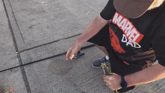 Mackerel Fishing | Float Fishing For Mackerel | West Bay Dorset смотреть онлайн