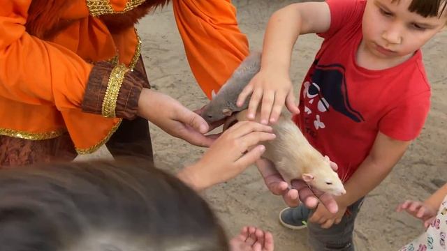 Праздник-"До свидания,Лето! смотреть онлайн