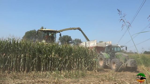 *NEW* Krone BiGX 1180 | MG SERVICE | BOSIA смотреть онлайн