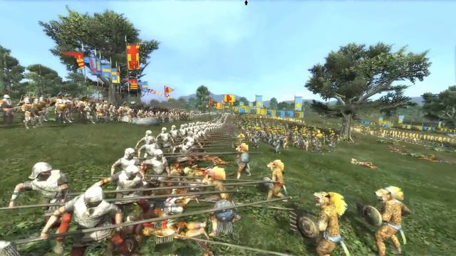 The Spain Experience