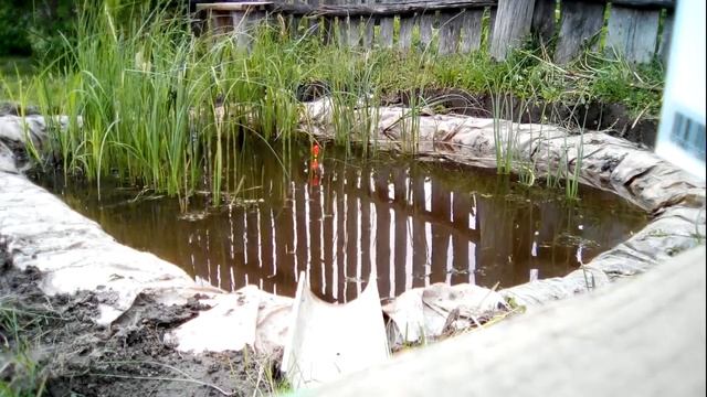 Ловлю рыбу в своём декоративном пруду смотреть онлайн