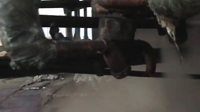 Потеря острого пара при штатной работе термодинамического конденсатоотводчика смотреть онлайн