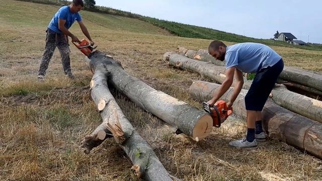 Husqvarna 390xp & Husqvarna 372 Xp X-torq