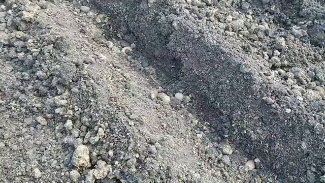 Страшная тайна раскрыта🤫