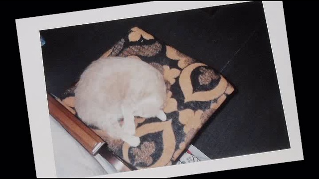 Puki, Odet i Luna смотреть онлайн