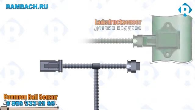 Audi Q7 3.0 TDI с Rambach Power Box. Инструкция по подключению. смотреть онлайн
