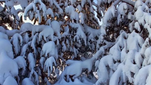 "Отзвенело лето" музыка и исполнение Олега Сапегина,слова Владимира Патрикеева-Шуйского смотреть онлайн