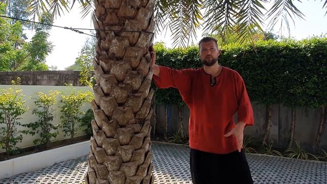 ॐ Что такое дикша? | Константин Мухин смотреть онлайн