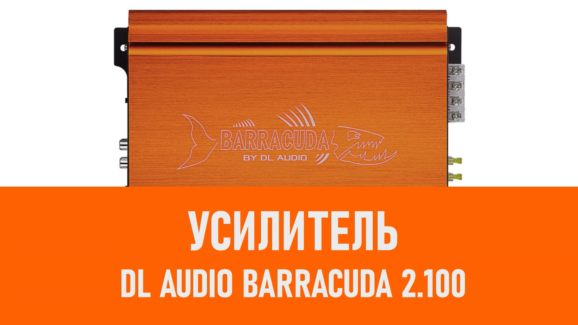 Распаковка усилителя DL Audio Barracuda 2.100 смотреть онлайн