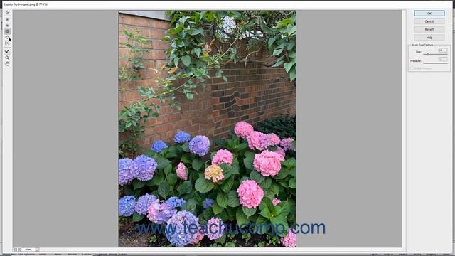 Photoshop Elements 2021 Tutorial The Liquify Command Adobe Training смотреть онлайн