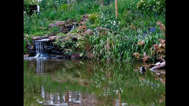 Canon Powershot Sx430 Is Bridge Camera Photography Part14