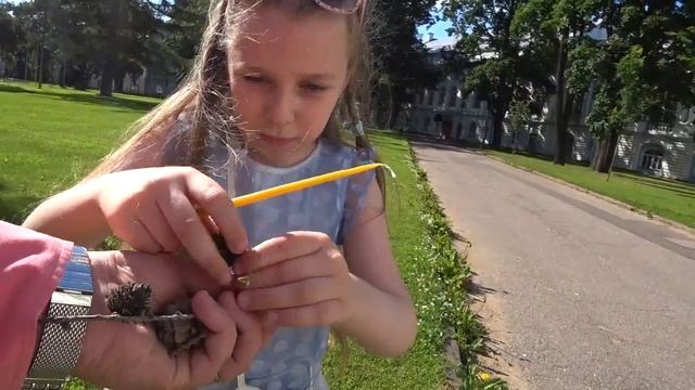 Смольный собор